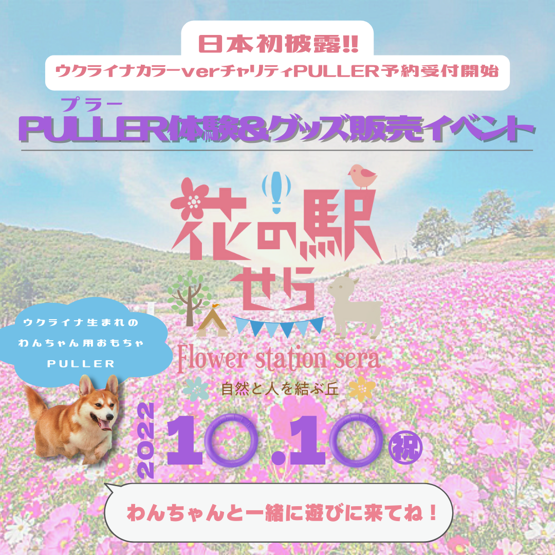プラー体験会&チャリティプラー予約販売会のご案内