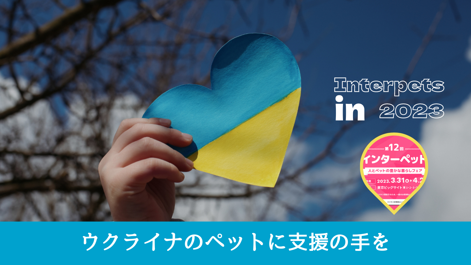 ウクライナのペット支援レポート②