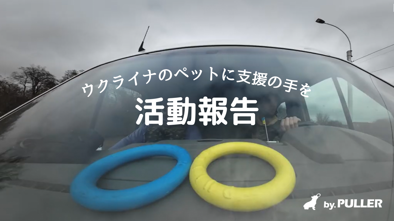 ウクライナのペット支援レポート③