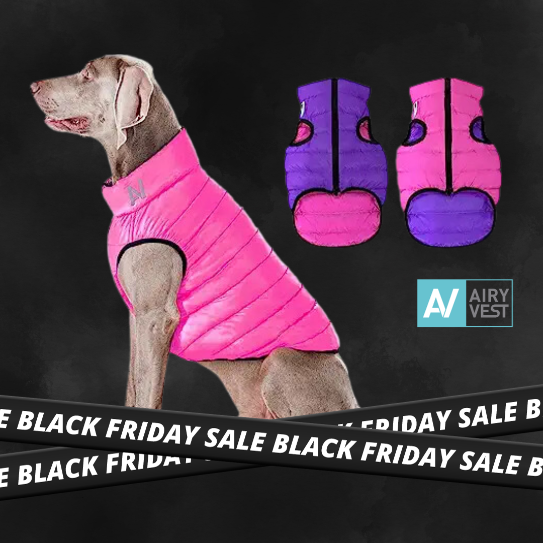 30％OFF｜ エアリーベストリバーシブル【BLACKFRIDAYSALE】