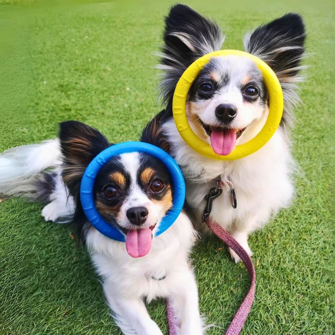 公式】ウクライナチャリティプラー＼限定カラーver.／