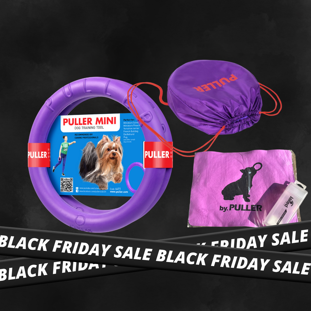 PULLERファンセット｜数量限定！BLACK FRIDAY 限定セット